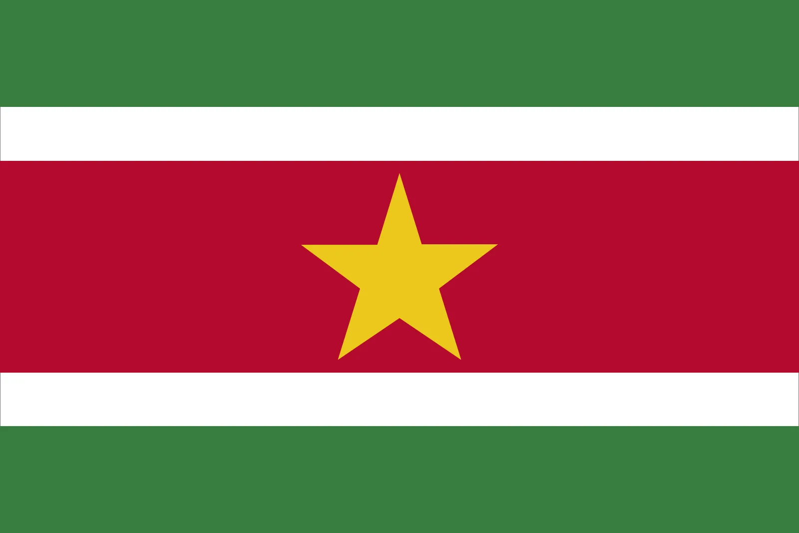 //anseila.com/wp-content/uploads/2024/01/Flag-Suriname.webp